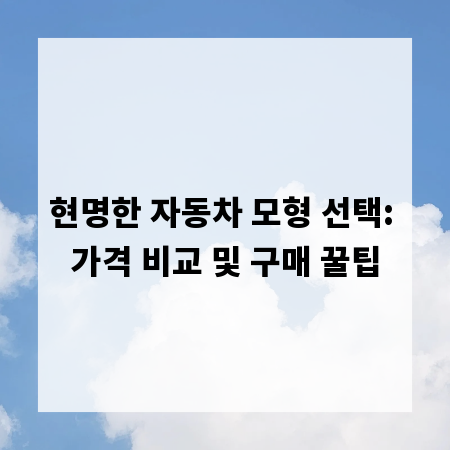 현명한 자동차 모형 선택: 가격 비교 및 구매 꿀팁