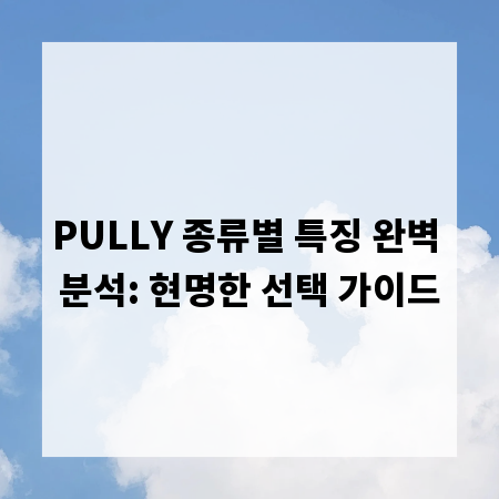 PULLY 종류별 특징 완벽 분석: 현명한 선택 가이드