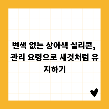 변색 없는 상아색 실리콘, 관리 요령으로 새것처럼 유지하기