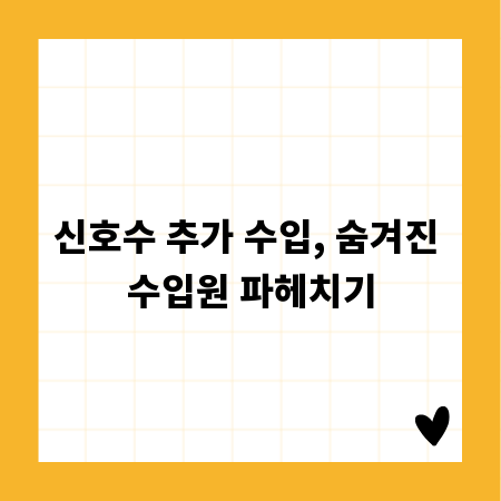 신호수 추가 수입, 숨겨진 수입원 파헤치기