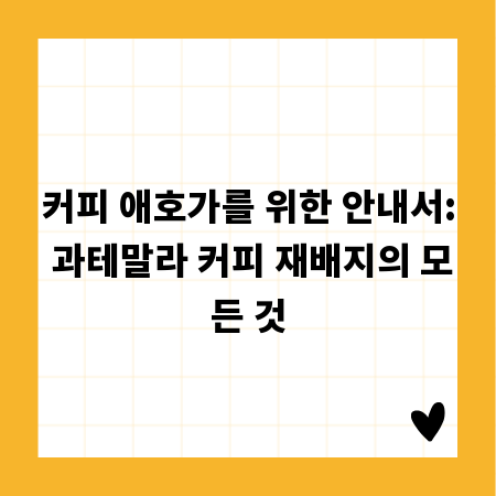 커피 애호가를 위한 안내서: 과테말라 커피 재배지의 모든 것