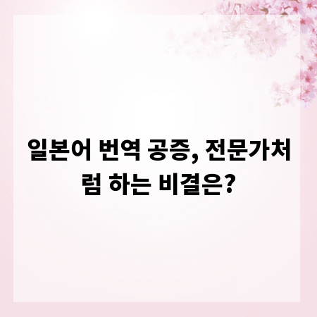 일본어 번역 공증, 전문가처럼 하는 비결은?