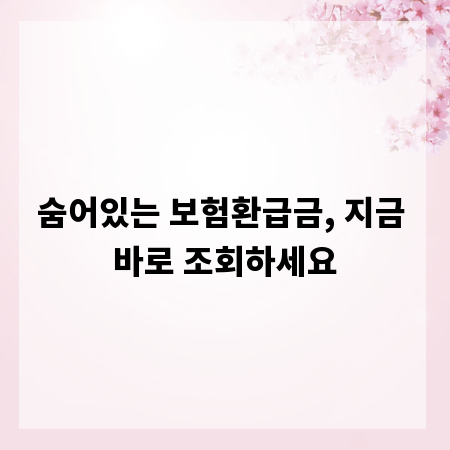 숨어있는 보험환급금, 지금 바로 조회하세요