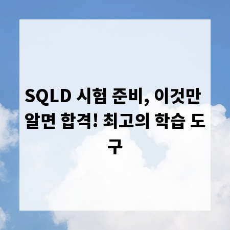 SQLD 시험 준비, 이것만 알면 합격! 최고의 학습 도구