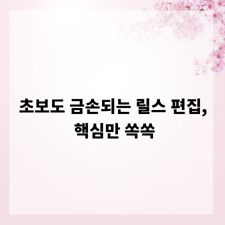 초보도 금손되는 릴스 편집, 핵심만 쏙쏙