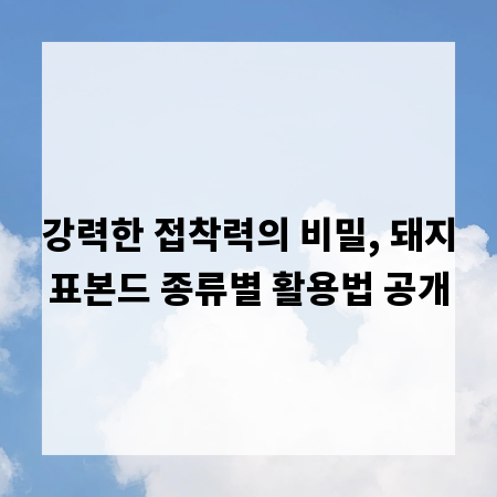 강력한 접착력의 비밀, 돼지표본드 종류별 활용법 공개