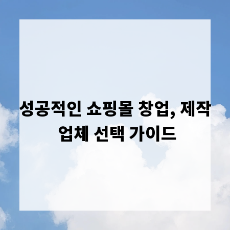 성공적인 쇼핑몰 창업, 제작 업체 선택 가이드