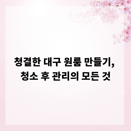 청결한 대구 원룸 만들기, 청소 후 관리의 모든 것
