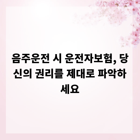 음주운전 시 운전자보험, 당신의 권리를 제대로 파악하세요