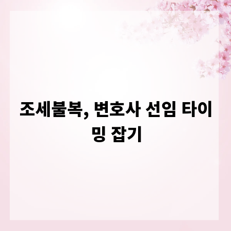 조세불복, 변호사 선임 타이밍 잡기