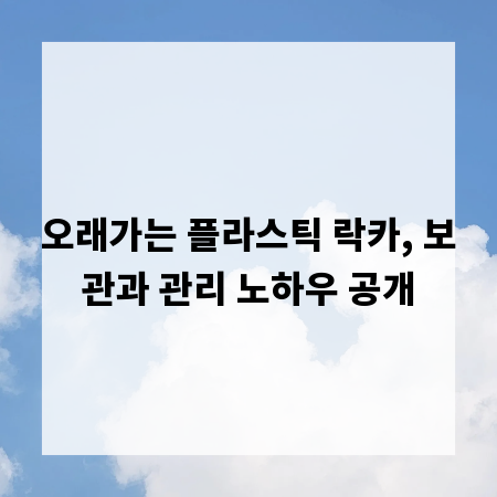 오래가는 플라스틱 락카, 보관과 관리 노하우 공개