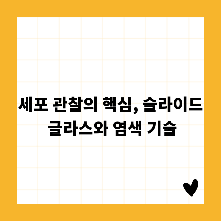 세포 관찰의 핵심, 슬라이드 글라스와 염색 기술