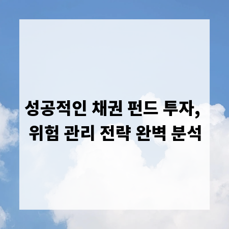 성공적인 채권 펀드 투자, 위험 관리 전략 완벽 분석