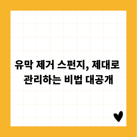 유막 제거 스펀지, 제대로 관리하는 비법 대공개