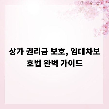 상가 권리금 보호, 임대차보호법 완벽 가이드