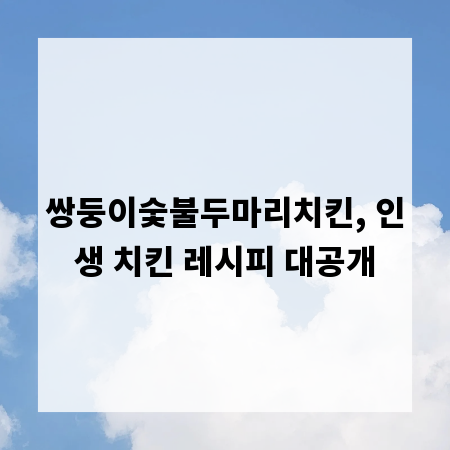 쌍둥이숯불두마리치킨, 인생 치킨 레시피 대공개