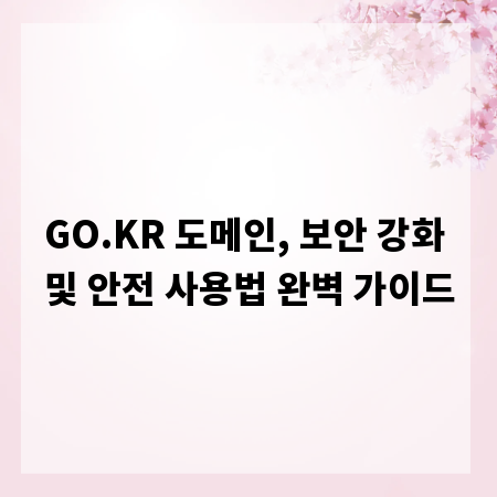 GO.KR 도메인, 보안 강화 및 안전 사용법 완벽 가이드