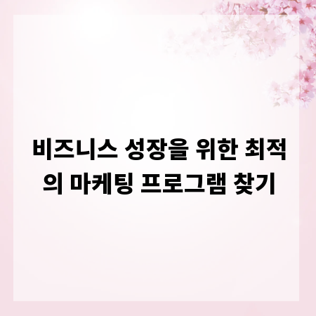 비즈니스 성장을 위한 최적의 마케팅 프로그램 찾기