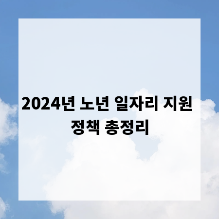 2024년 노년 일자리 지원 정책 총정리