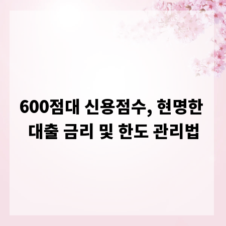 600점대 신용점수, 현명한 대출 금리 및 한도 관리법
