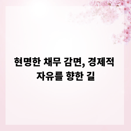 현명한 채무 감면, 경제적 자유를 향한 길