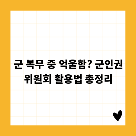 군 복무 중 억울함? 군인권위원회 활용법 총정리