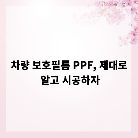 차량 보호필름 PPF, 제대로 알고 시공하자