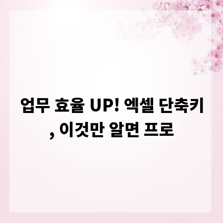 업무 효율 UP! 엑셀 단축키, 이것만 알면 프로