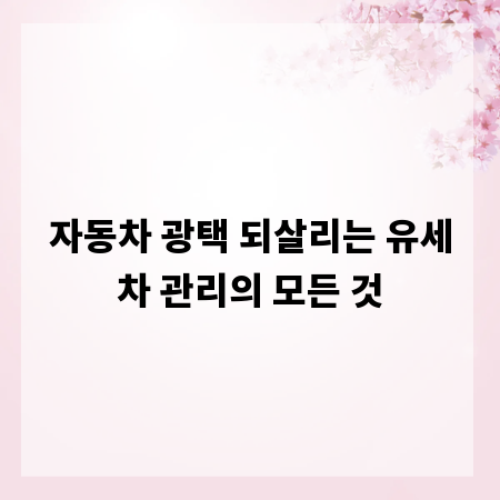 자동차 광택 되살리는 유세차 관리의 모든 것