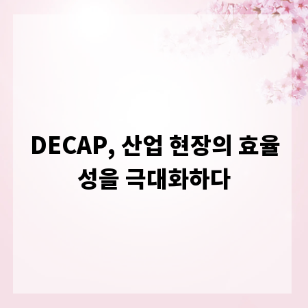 DECAP, 산업 현장의 효율성을 극대화하다