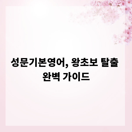 성문기본영어, 왕초보 탈출 완벽 가이드