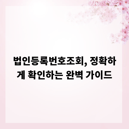 법인등록번호조회, 정확하게 확인하는 완벽 가이드