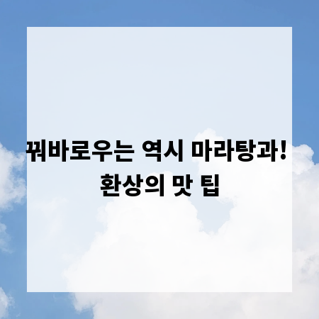 꿔바로우는 역시 마라탕과! 환상의 맛 팁
