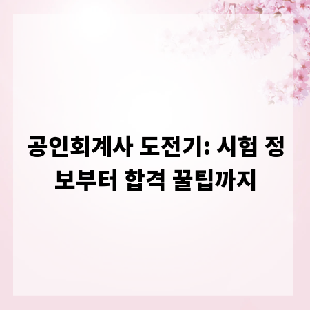 공인회계사 도전기: 시험 정보부터 합격 꿀팁까지
