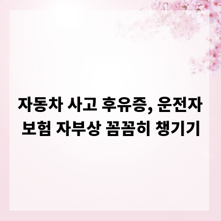 자동차 사고 후유증, 운전자보험 자부상 꼼꼼히 챙기기