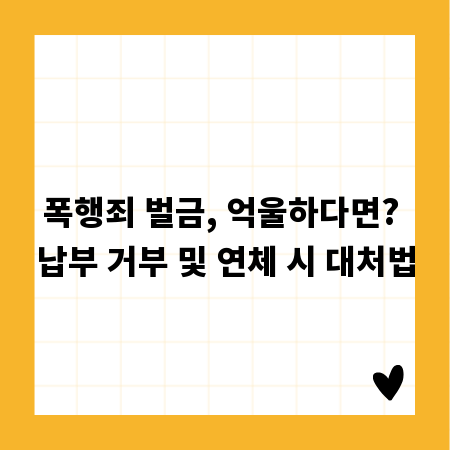 폭행죄 벌금, 억울하다면? 납부 거부 및 연체 시 대처법