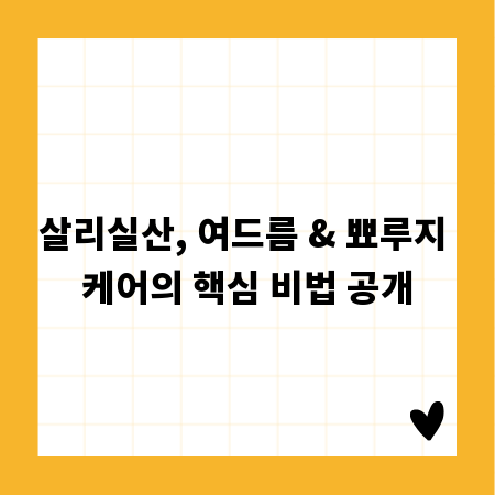 살리실산, 여드름 & 뾰루지 케어의 핵심 비법 공개