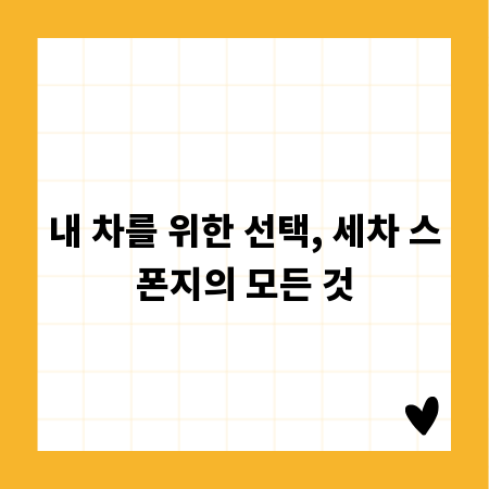 내 차를 위한 선택, 세차 스폰지의 모든 것
