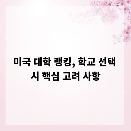 미국 대학 랭킹, 학교 선택 시 핵심 고려 사항