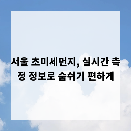 서울 초미세먼지, 실시간 측정 정보로 숨쉬기 편하게
