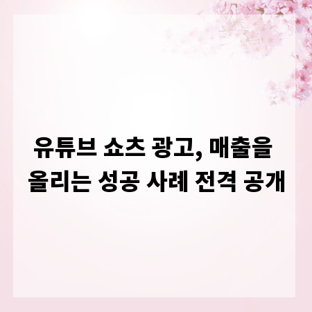 유튜브 쇼츠 광고, 매출을 올리는 성공 사례 전격 공개