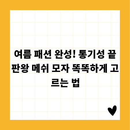 여름 패션 완성! 통기성 끝판왕 메쉬 모자 똑똑하게 고르는 법
