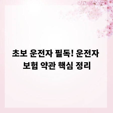 초보 운전자 필독! 운전자 보험 약관 핵심 정리