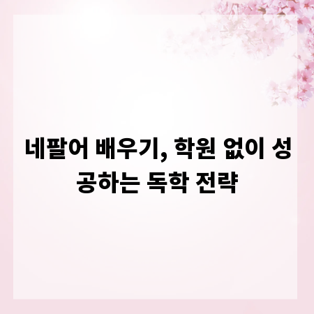 네팔어 배우기, 학원 없이 성공하는 독학 전략