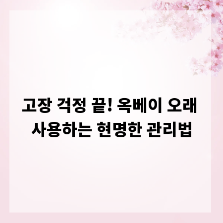 고장 걱정 끝! 옥베이 오래 사용하는 현명한 관리법