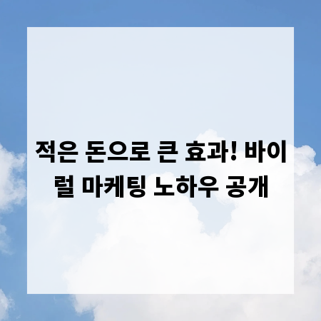 적은 돈으로 큰 효과! 바이럴 마케팅 노하우 공개