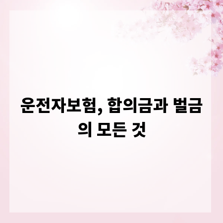 운전자보험, 합의금과 벌금의 모든 것