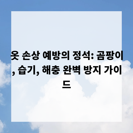 옷 손상 예방의 정석: 곰팡이, 습기, 해충 완벽 방지 가이드