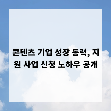 콘텐츠 기업 성장 동력, 지원 사업 신청 노하우 공개