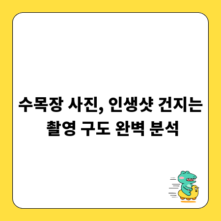 수목장 사진, 인생샷 건지는 촬영 구도 완벽 분석